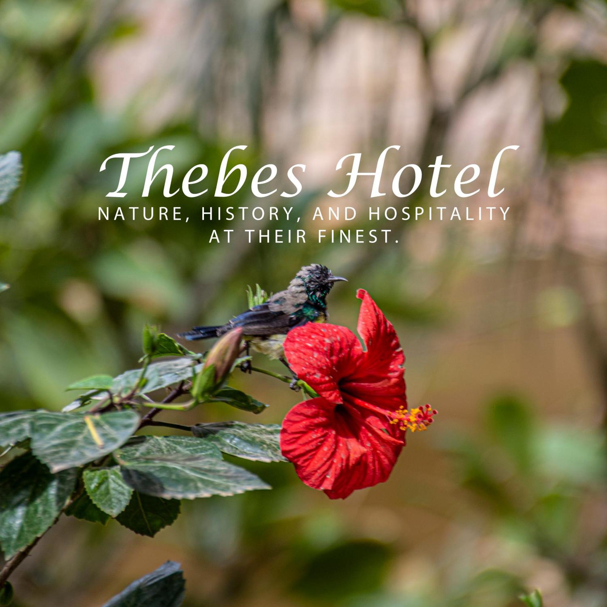 Thebes Hotel Luxor Exterior foto
